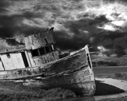 Flight of the Albatross,Digital Photography,Canon EOS T3i,Photoshop CS6,Northern California,Bryan Boutwell,Live Fiction,