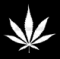 Weed a poem by Bryan Boutwell, Bryan Matthew Boutwell, Livefiction.net,a poem about weed